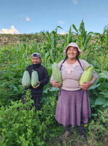 La Hermosa Vida en el Campo Andino: Un Tesoro de Tradición y Naturaleza