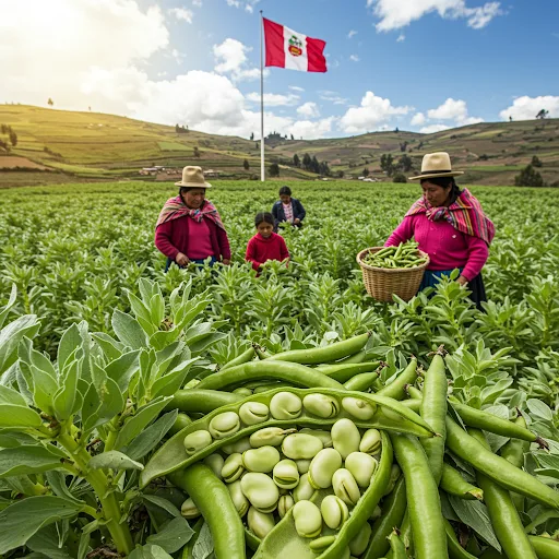 Las Habas en el Perú