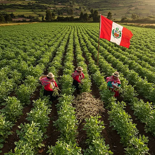 Las Habas en el Perú
