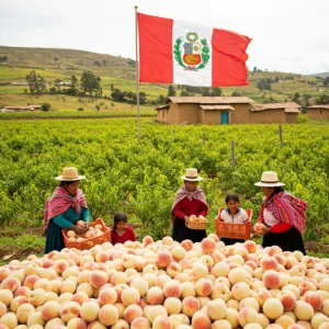 El Durazno en el Perú: Historia, Cultivo y Variedades