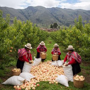 Durazno Blanco Andino: Dulce Tesoro del Perú El fruto ancestral que endulza los Andes y cautiva paladares con su sabor único.