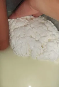 El queso andino peruano, el mejor del mundo