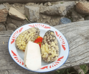 La imagen tiene un atributo ALT vacío; su nombre de archivo es image-6.png