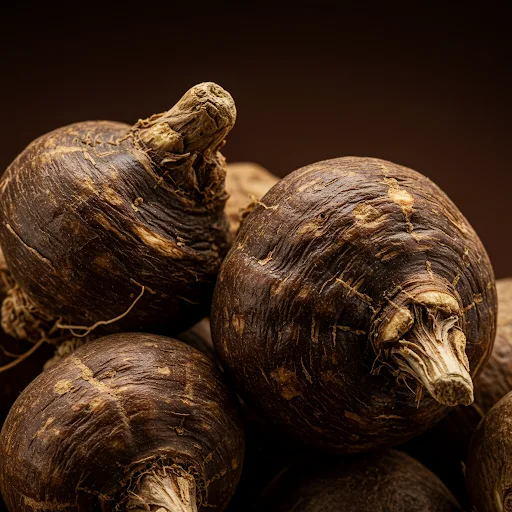 Plantas y Frutas del Perú que Combaten el Cáncer: Sabiduría Ancestral y Ciencia Actual