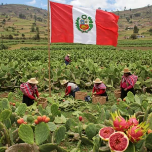 Tunas y Nopales: Tesoro Ancestral del Perú para la Salud y el Bienestar