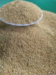 La Quinua: Tesoro Andino del Perú y su Impacto en el Mundo