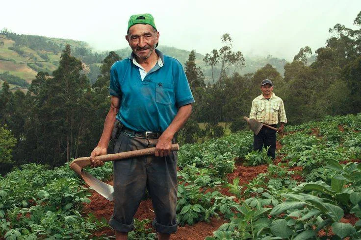 Los Andes Peruanos: Herencia Milenaria de Sabores, Sabiduría y Resistencia Cultural