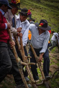 Los Andes Peruanos: Un Viaje a Través de su Cultura, Tradiciones y Gastronomía