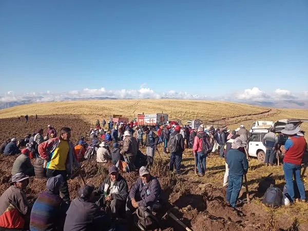 El Ayni en el Perú: Una Práctica Ancestral que Sostiene la Comunidad y la Vida