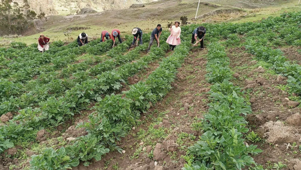 El Quechua en el Perú: Un Legado Lingüístico y Cultural que Resiste el Tiempo