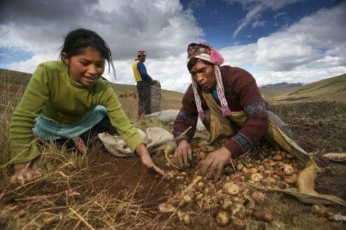 El Quechua en el Perú: Un Legado Lingüístico y Cultural que Resiste el Tiempo