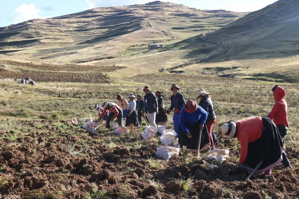 El Quechua en el Perú: Un Legado Lingüístico y Cultural que Resiste el Tiempo