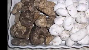 El Chuño: Un Tesoro Andino y su Proceso Milenario de Elaboración