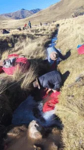 El Chuño: Un Tesoro Andino y su Proceso Milenario de Elaboración