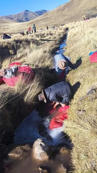 El Chuño: Un Tesoro Andino y su Proceso Milenario de Elaboración