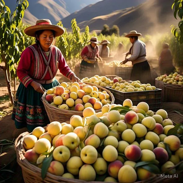 Cómo Cultivar Duraznos en el Perú Andino: Un Viaje entre Sabores y Tradiciones