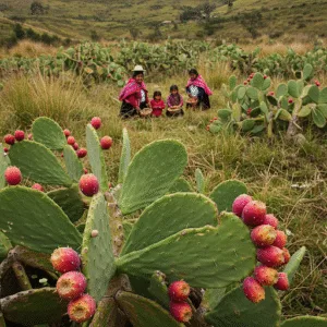 Las Recetas con Nopales y Tunas: Sabores que Conectan el Perú con su Naturaleza