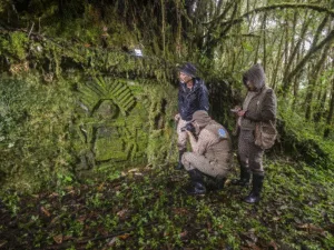 Descubren el “otro Machu Picchu”: Más de 100 edificaciones ocultas en la selva peruana