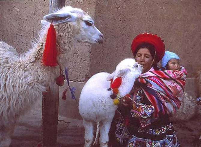 Poemas por el Día de la Madre Peruana Andina: Voz, Riqueza y Memoria de los Andes