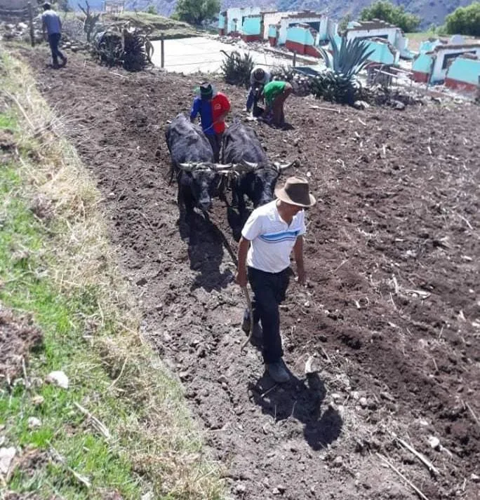 Por Qué Deberías Aprender a Saludar en Aimara y Quechua Este Año