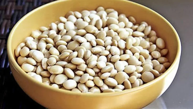 Agricultura Andina: Cómo Sembrar Tarwi, el Oro Blanco de los Andes - Peru te pone Agricultura Andina: Cómo Sembrar Tarwi, el Oro Blanco de los Andes