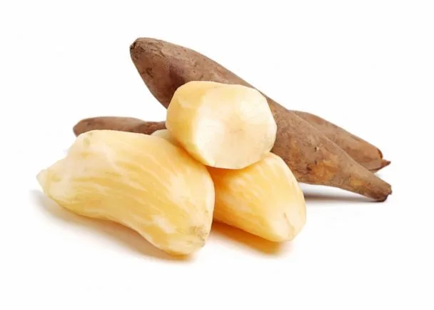 Cómo Sembrar Yacón, el Dulce Secreto de los Andes