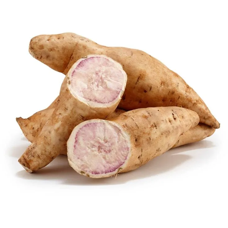 Cómo Sembrar Yacón, el Dulce Secreto de los Andes