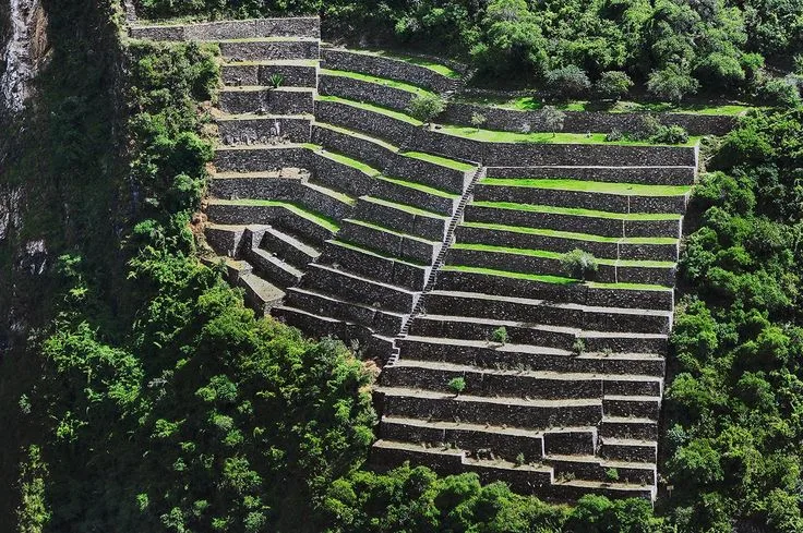 Del Mar al Amazonas: Un Viaje al Corazón del Perú que Nunca Olvidarás
