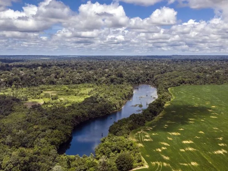 Del Mar al Amazonas: Un Viaje al Corazón del Perú que Nunca Olvidarás