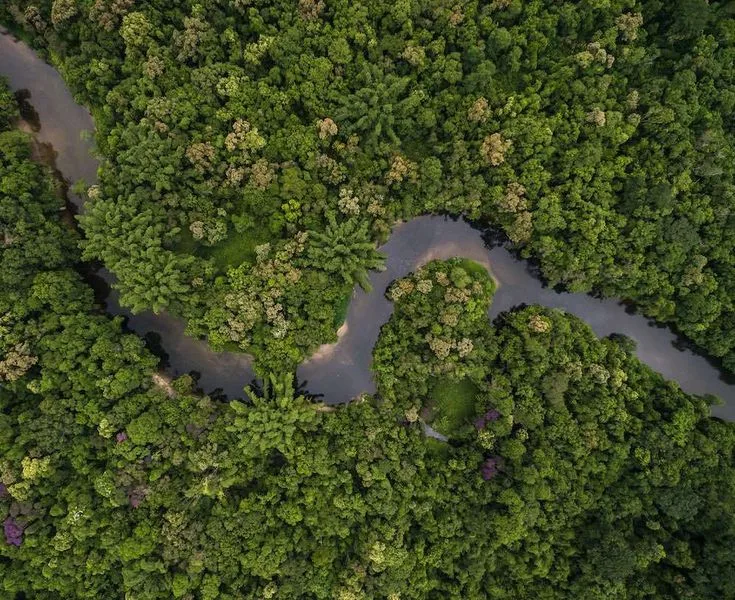 Del Mar al Amazonas: Un Viaje al Corazón del Perú que Nunca Olvidarás
