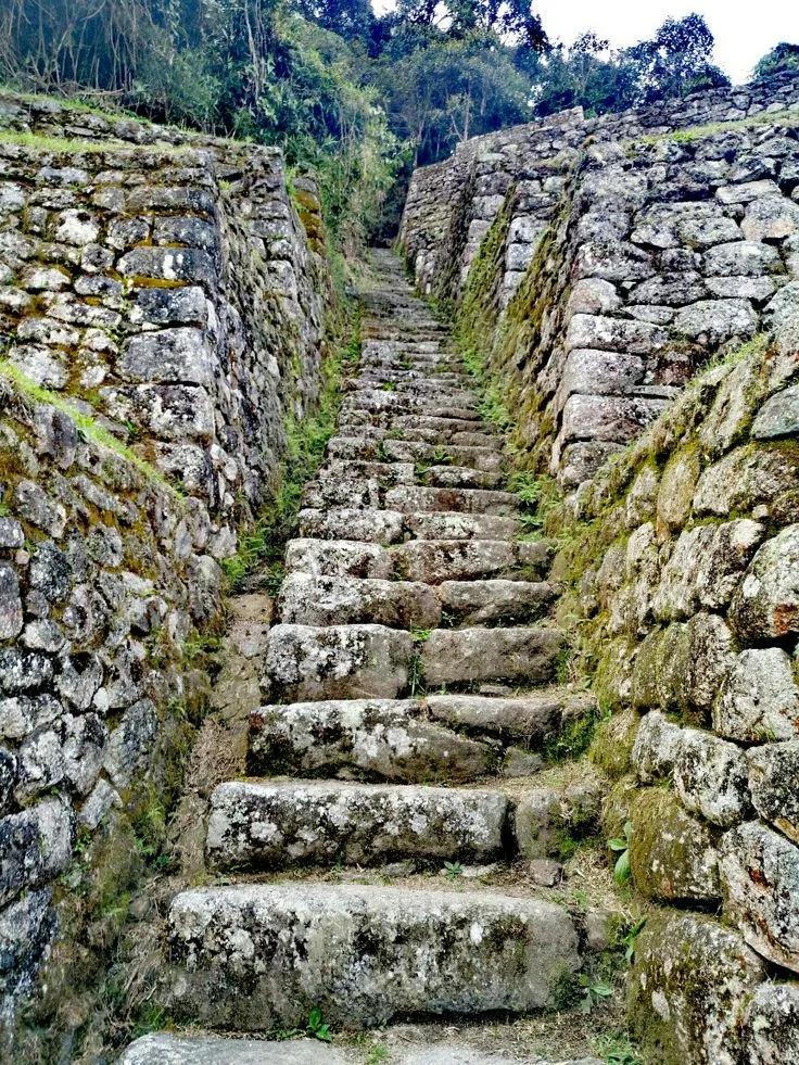 Qhapaq Ñan: El Camino Inca Que Unía Todo un Imperio