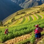 Los Secretos de la Agricultura Andina