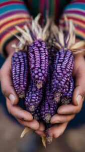 El Maíz Morado: La Joya Andina que Rejuvenece al Mundo