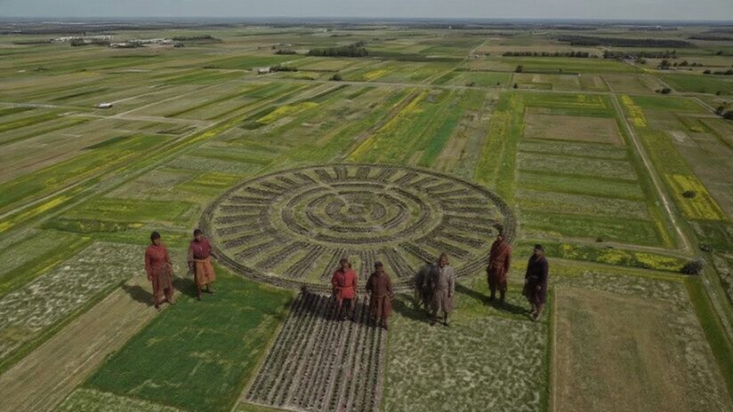 Waru Waru: El Milagro Ancestral que Vence al Cambio Climático Hoy
