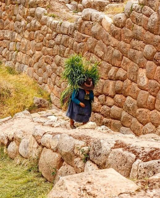 Los Hábitos Diarios de los Incas