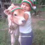 Navidad en el Campo Peruano: Sencilla, Humilde y Verdadera