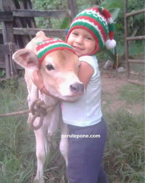 Navidad en el Campo Peruano: Sencilla, Humilde y Verdadera