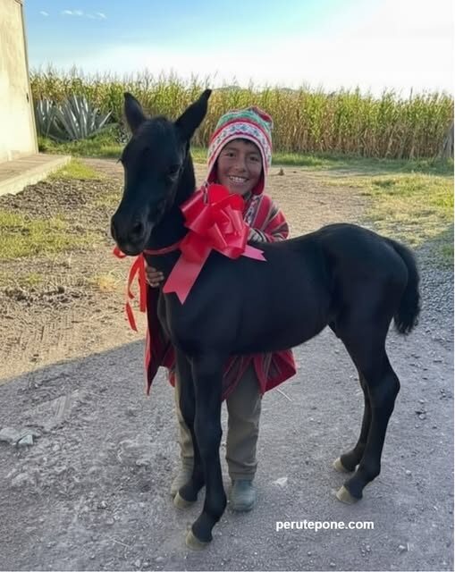 Navidad al Estilo Andino: Fe, Comunidad y Amor