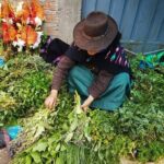 Los Productos Más Raros Vendidos en las Ferias y Mercados Andinos del Perú