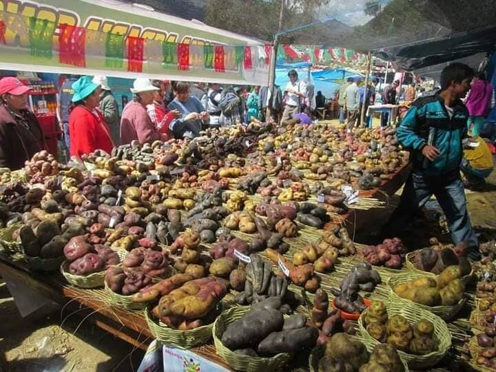 Los Productos Más Raros Vendidos en las Ferias y Mercados Andinos del Perú