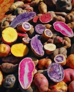 Productos Emblemáticos que debes probar en una Feria o Mercado de Perú