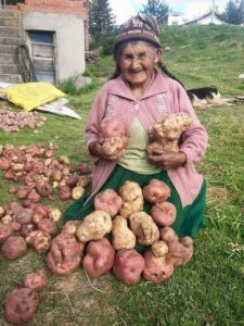 ¿Qué se Siembra Realmente en el Campo Andino del Perú?