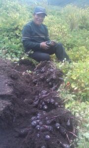 Que alimentos cosecha el agricultor andino en Perú