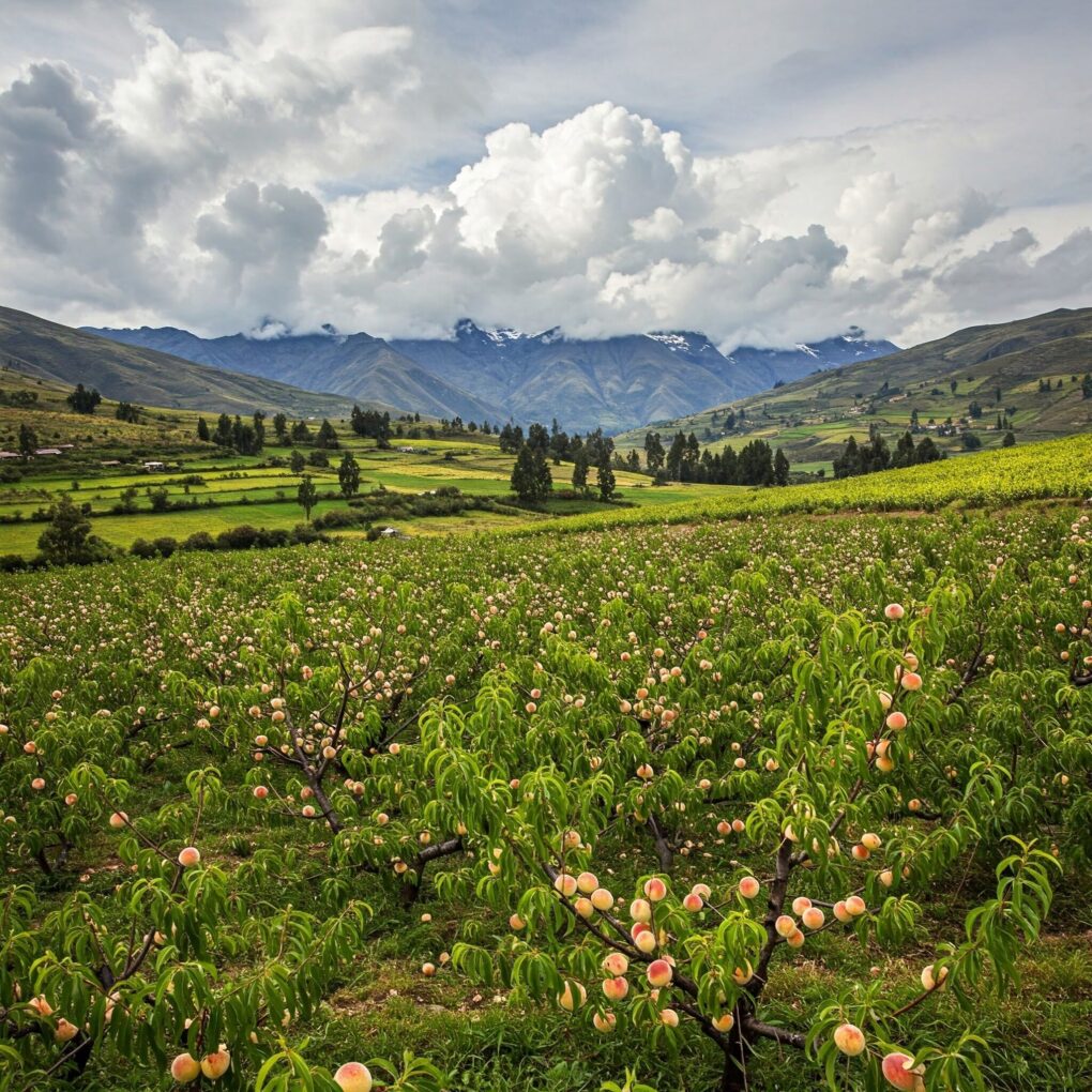 Los Lugares Andinos de Perú con el Aire Más Limpio