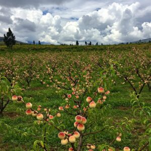 Los Lugares Andinos de Perú con el Aire Más Limpio
