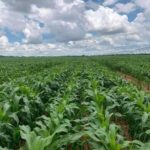 Los Lugares Andinos de Perú con el Aire Más Limpio