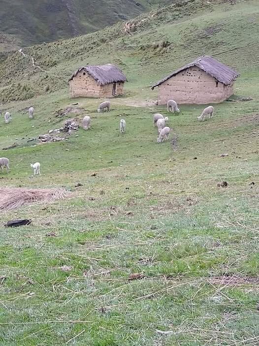 Los Lugares Andinos de Perú con el Aire Más Limpio