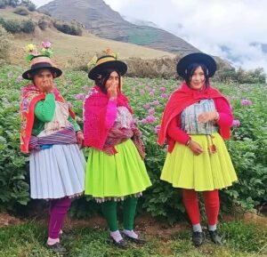 Los Lugares más Afectados por la Contaminación en los Andes de Perú