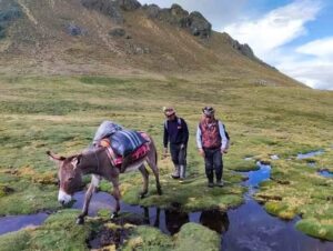 Los Lugares más Afectados por la Contaminación en los Andes de Perú