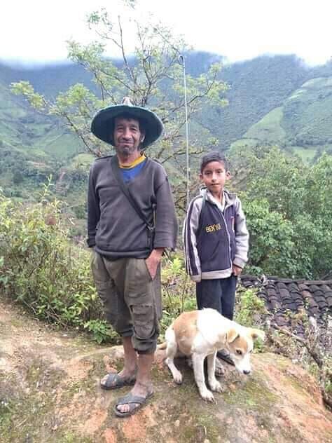 El Gran Regreso al Campo: Por Qué Miles Huyen de la Ciudad